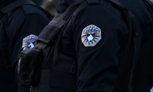 pese-raste-te-dhunes-ne-familje-ne-raportin-24-oresh-te-policise,-detaje