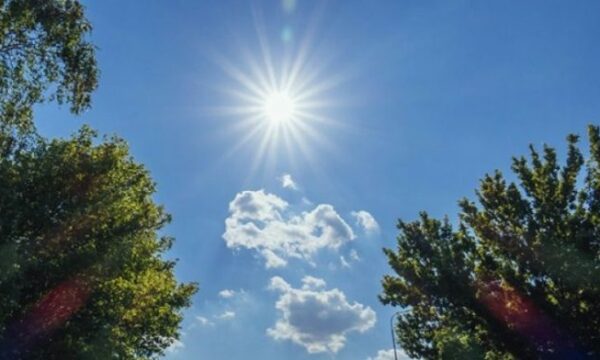 neser-temperaturat-deri-ne-24c